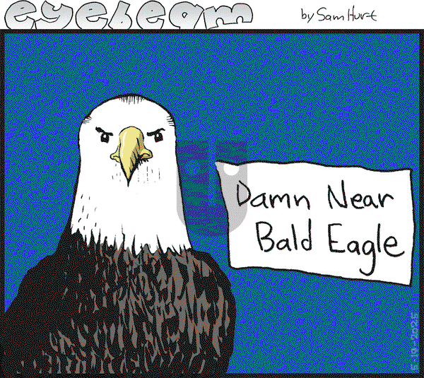 Eyebeam on Monday May 19, 2025 Comic Strip