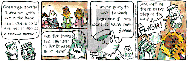 Breaking Cat News on Saturday October 20, 2018 Comic Strip