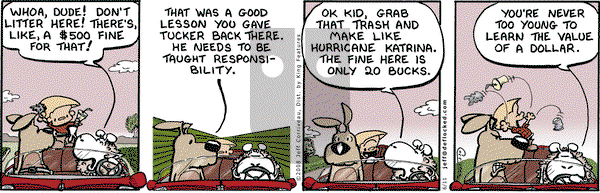 DeFlocked on Wednesday June 11, 2008 Comic Strip