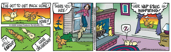 Rose is Rose on Monday December 1, 2008 Comic Strip