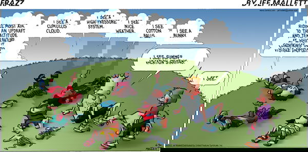 Frazz on Sunday June 30, 2002 Comic Strip
