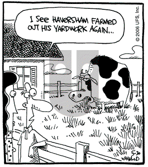 Reality Check on Tuesday May 30, 2006 Comic Strip
