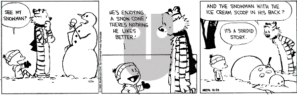 Calvin and Hobbes - Friday December 29, 1995 Comic Strip