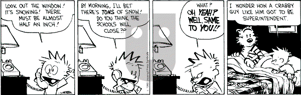Calvin and Hobbes - Friday November 30, 1990 Comic Strip