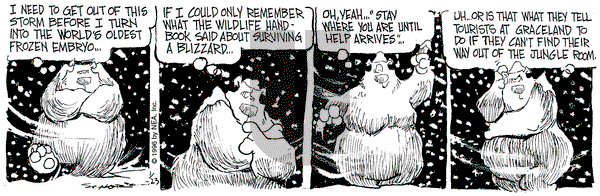 The Grizzwells on Tuesday January 23, 1996 Comic Strip