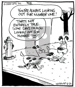 Reality Check on Tuesday August 29, 2000 Comic Strip