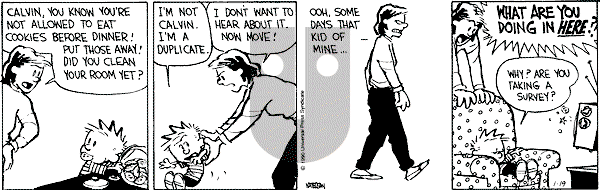 Calvin and Hobbes - Friday January 19, 1990 Comic Strip
