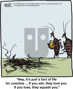 In the Bleachers on Friday June 3, 2016 Comic Strip
