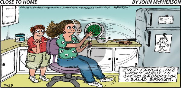 Close to Home on Sunday July 29, 2018 Comic Strip