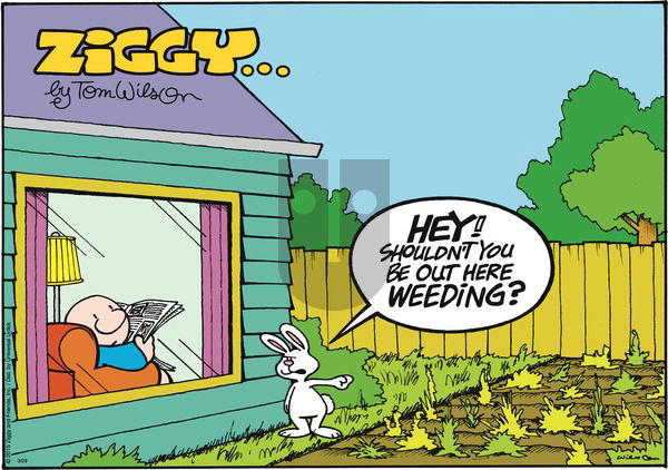 Ziggy on Sunday March 29, 2015 Comic Strip
