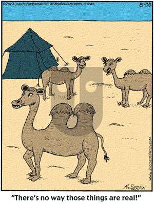 Close to Home on Wednesday August 30, 2023 Comic Strip