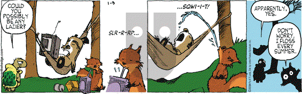 Over the Hedge on Saturday January 3, 2009 Comic Strip