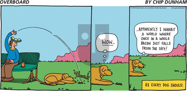 Overboard on Sunday August 25, 2019 Comic Strip