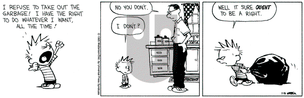 Calvin and Hobbes on Wednesday July 19, 1995 Comic Strip