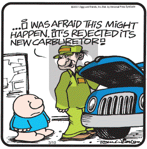 Ziggy - Saturday March 10, 2007 Comic Strip