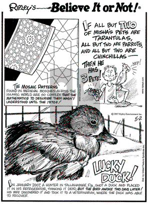 Ripley's Believe It or Not on Wednesday May 2, 2007 Comic Strip