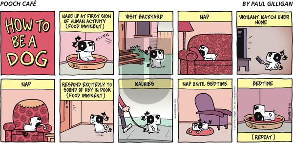 Pooch Cafe - Sunday August 10, 2014 Comic Strip
