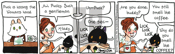 Breaking Cat News on Monday September 11, 2017 Comic Strip