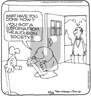 Ziggy on Wednesday July 29, 1998 Comic Strip