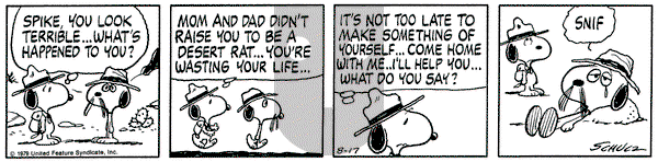 Peanuts - Friday August 17, 1979 Comic Strip