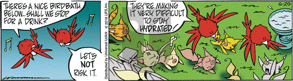 Rose is Rose on Saturday June 25, 2016 Comic Strip