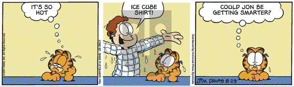 Garfield on Wednesday August 29, 2007 Comic Strip