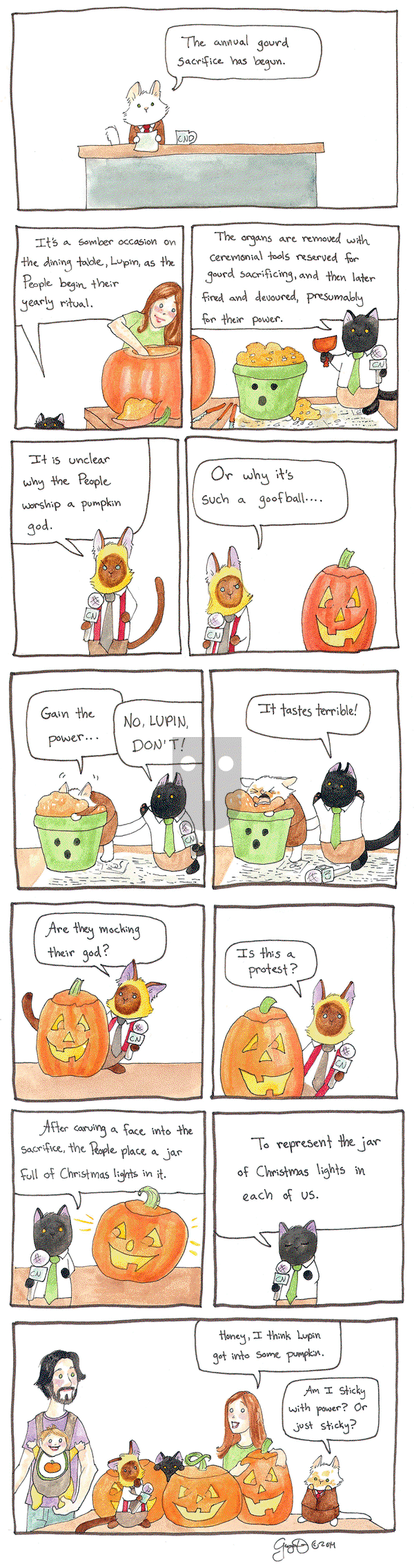 Breaking Cat News on Thursday May 21, 2015 Comic Strip