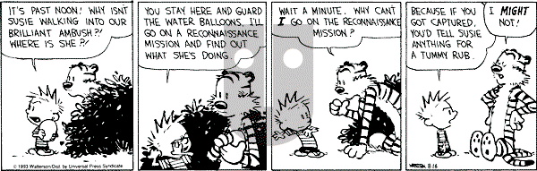 Calvin and Hobbes - Monday August 16, 1993 Comic Strip