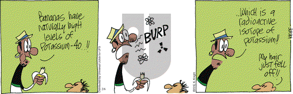 The Knight Life on Saturday February 6, 2016 Comic Strip
