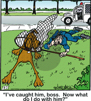 Marmaduke on Wednesday August 7, 2019 Comic Strip