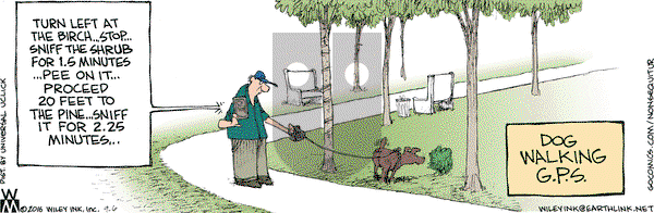 Non Sequitur on Tuesday September 6, 2016 Comic Strip