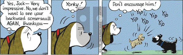 Fred Basset on Tuesday March 23, 2010 Comic Strip