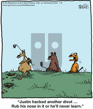 In the Bleachers on Saturday January 9, 2016 Comic Strip