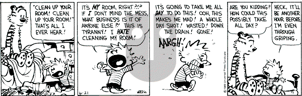 Calvin and Hobbes - Wednesday June 21, 1989 Comic Strip