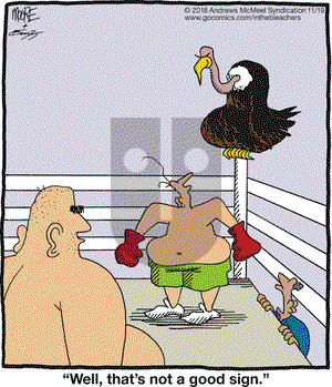 In the Bleachers on Monday November 19, 2018 Comic Strip