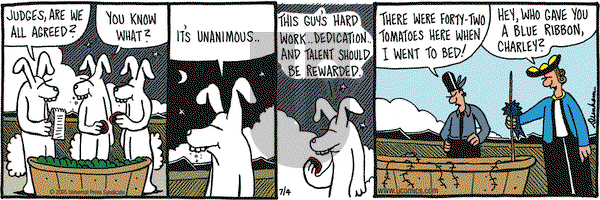 Overboard on Monday July 4, 2005 Comic Strip