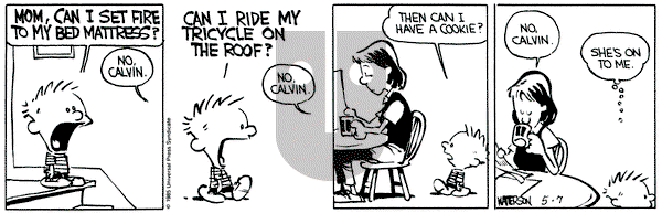 Calvin and Hobbes on Tuesday May 7, 1991 Comic Strip