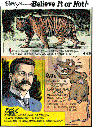 Ripley's Believe It or Not on Tuesday April 29, 2014 Comic Strip
