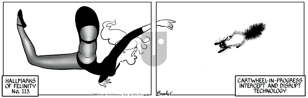 9 Chickweed Lane - Wednesday February 13, 2002 Comic Strip
