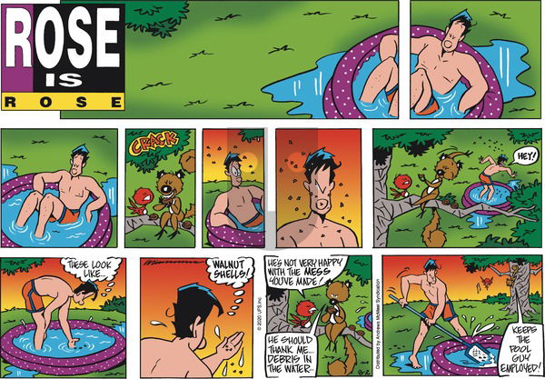 Rose is Rose on Sunday August 2, 2020 Comic Strip