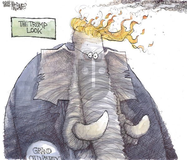 Matt Davies - Sunday March 6, 2016 Comic Strip