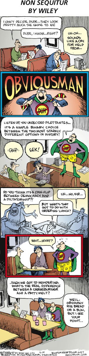 Non Sequitur - Sunday April 14, 2024 Comic Strip