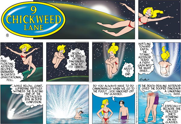 9 Chickweed Lane on Sunday July 31, 2011 Comic Strip