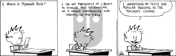 Calvin and Hobbes - Friday January 28, 1994 Comic Strip
