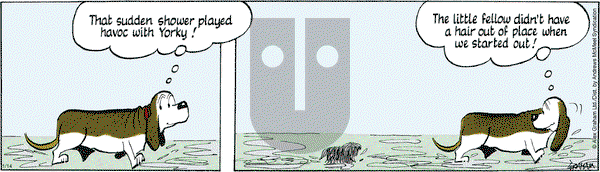 Fred Basset on Tuesday January 14, 2025 Comic Strip