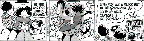 Rose is Rose - Wednesday January 17, 2001 Comic Strip