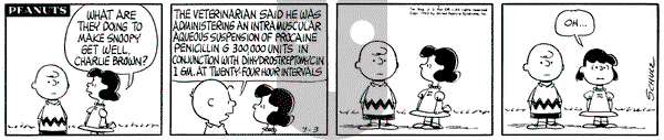 Peanuts on Wednesday July 3, 1963 Comic Strip