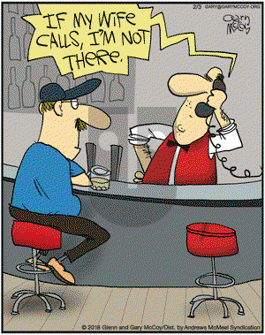The Flying McCoys on Saturday February 3, 2018 Comic Strip