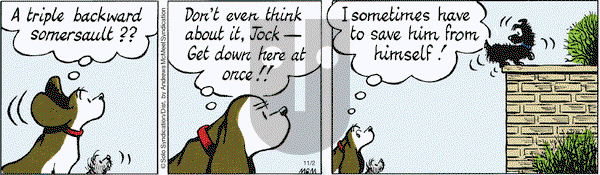 Fred Basset on Friday November 2, 2018 Comic Strip