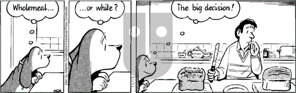 Fred Basset on Tuesday November 13, 2007 Comic Strip